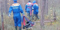 Тело женщины нашли в лесу у деревни Горы - 47 новостей