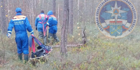 Тело пропавшей женщины обнаружили в лесу у СНТ «Горы-2» - Online47.Ru