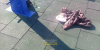 В Новосибирске родные сообщили о критическом состоянии девочки, раненой ножом на Связистов - Сиб.фм