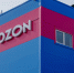 Пострадавшим селлерам Ozon из РТ будут доступны региональные меры поддержки - ИА Татар-информ