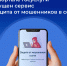 Цифровой сервис «Защита от мошенников в сети» - Минфин Владимирской области