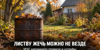 Где можно жечь листву и какие штрафы грозят: правила для жителей Задонского округа - Газета Задонская правда