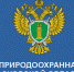 По иску межрайонной природоохранной прокуратуры Московской области судом принято решение о взыскании ущерба, причиненного окружающей среде в результате гибели дикого животного - Городской округ Красногорск