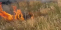 В Оренбургском районе локализован пожар, начавшийся с возгорания автомобиля - ProOren.Ru