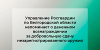 Управление Росгвардии по Белгородской области напоминает о денежном вознаграждении за добровольную сдачу незарегистрированного оружия. - Старооскольский городской округ