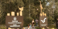 Картинка - Regions.Ru