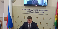 В Краснодарском крае обсудили вопросы по реализации законодательства при организации деятельности по обращению с животными - Департамент ветеринарии