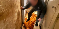 В Подольске мужчина обвиняется в причинении смертельных травм сожительнице - Следственный комитет