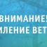 Штормовое предупреждение в Новодвинске. - Город Новодвинск