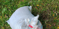 В Лаишевском районе пресекли деятельность браконьеров - Камская новь