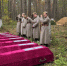 Останки 302 красноармейцев предали земле во Всеволожском районе - ЛенТВ24