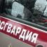 Вышел из зала суда и пошел на дело: в Подмосковье росгвардейцы поймали рецидивиста на краже - tvspb.ru - ТК Санкт-Петербург