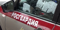 Вышел из зала суда и пошел на дело: в Подмосковье росгвардейцы поймали рецидивиста на краже - tvspb.ru - ТК Санкт-Петербург