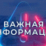 Диагноз «бешенство» подтвердился у бездомной кошки - Pro-Podolsk.Ru