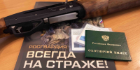 За месяц росгвардейцы изъяли у граждан 19 единиц оружия - Росгвардия