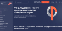 Фонд разъясняет: как понять, какая мера поддержки подходит вашему бизнесу - Нанайский район