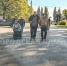 Новая парковка появилась у Воинского мемориала в Брянске - Сетевое издание Новости Брянска