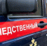 Возбуждено уголовное дело в отношении жительницы Канаша, подозреваемой  в истязании сына - Следственное управление