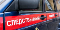 Возбуждено уголовное дело в отношении жительницы Канаша, подозреваемой  в истязании сына - Следственное управление