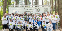 Восстановление лесов: как изменилось место в Новоиерусалимском лесничестве - Газета Истра сегодня