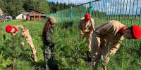 В Поморье продолжается акция «Сохраним лес» - Единая Россия