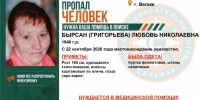 В Велиже пропала пожилая женщина - О чём Говорит Смоленск