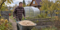 Дешевые опилки и 5 часов работы: как утеплить потолок дома без зимних продувов в щелях - Pg12.Ru