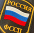 В Волосовском районе женщина погасила долг по алиментам после ареста квартиры - SyasNews.Ru