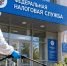 Налоговая Ленобласти потратит почти 7 миллионов на борьбу с крысами, насекомыми и клещами - SyasNews.Ru