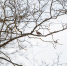 Фото: ПАИ - InformPskov.Ru