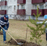 Мэр Благовещенска объявил о начале генеральной уборки в городе - Amur.Life