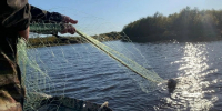 Сетки на реке у Тунайчи: Росрыболовство начало проверку после жалоб сахалинцев в соцсетях - News.Astv.Ru