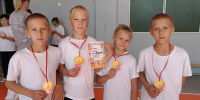 СИЛА СПОРТА - Межмуниципальное объединение учреждений культуры