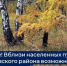 Внимание! Вблизи населенных пунктов Куйбышевского района возможно появление медведей - Город Куйбышев