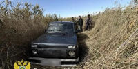 Пьяный новосибирец угнал новую машину и бросил ее в кустах - КП-Новосибирск