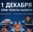 Минприроды Алтайского края напоминает о необходимости своевременной уплаты  налогов - Минприроды Алтайского края