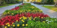 Прогноз погоды в Амурской области 1 октября - Amur.Life