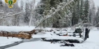 Водитель "Жигулей" выплатил компенсацию серьезно пострадавшему в ДТП ребенку в Черемхове - IrkutskMedia.Ru
