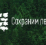 В рамках Всероссийской акции «Сохраним лес» на Камчатке высадили больше 13 тысяч деревьев - Правительство Камчатского края