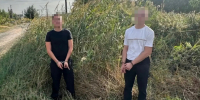 JPG Файл - ГУ МВД Волгоградской области