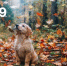 UNVN2djguWpOLnc1YZduQ3JoSCS_FVWg_vOZc-6RJ2MwUT3YKoWNw0GoGGWQTkiAbHH0OiDoaaHcEtD3TnBfgX-S - ЗА Новомосковск