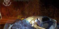 В Тверской области два человека погибли в ДТП из-за вышедшего на дорогу лося - Комсомольская Правда