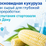 Зачем в Ростовской области испытывают новые отечественные сорта - Октябрьский район