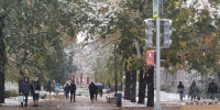 Череповец-Поиск - Cher-Poisk.Ru
