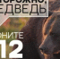 Памятка Как избежать встречи с медведем. - Уярский район