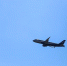 Россияне уходят от Турции: Египет и Китай перехватывают турпоток из‑за высоких цен - Вести Подмосковья