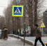 Заморозки ожидаются в Татарстане - Комсомольская правда Казань