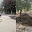 Благоустройство сквера - 24Krasnodar.Ru