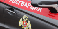 В Самарской области росгвардейцы задержали подозреваемого в краже - Росгвардия