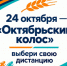 Открыта регистрация на XXVI марафон «Октябрьский колос» - Октябрьский район